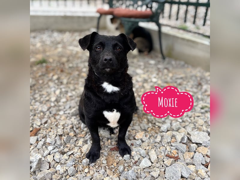 Moxie eine winzige Prinzessin