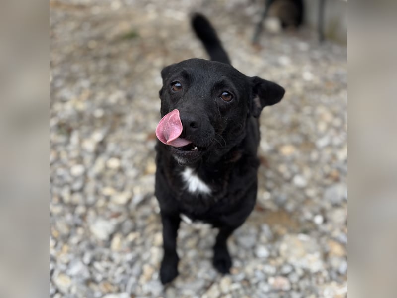Moxie eine winzige Prinzessin