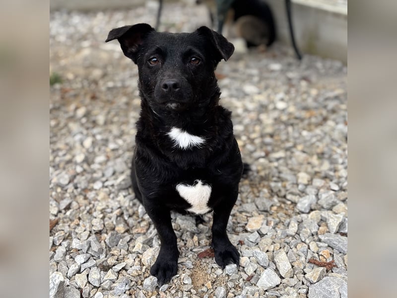 Moxie eine winzige Prinzessin