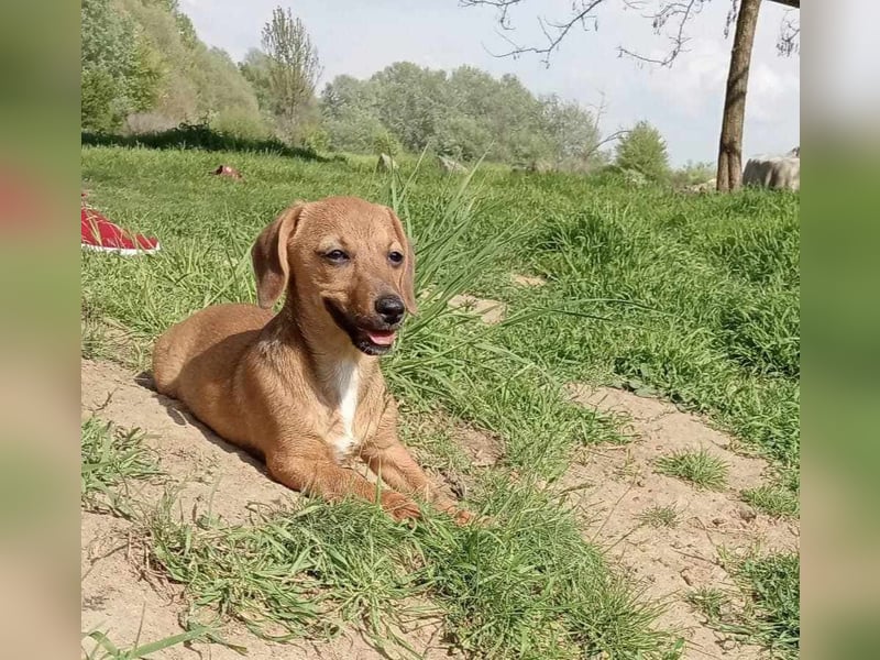 Kleine Knutschkugel Aila