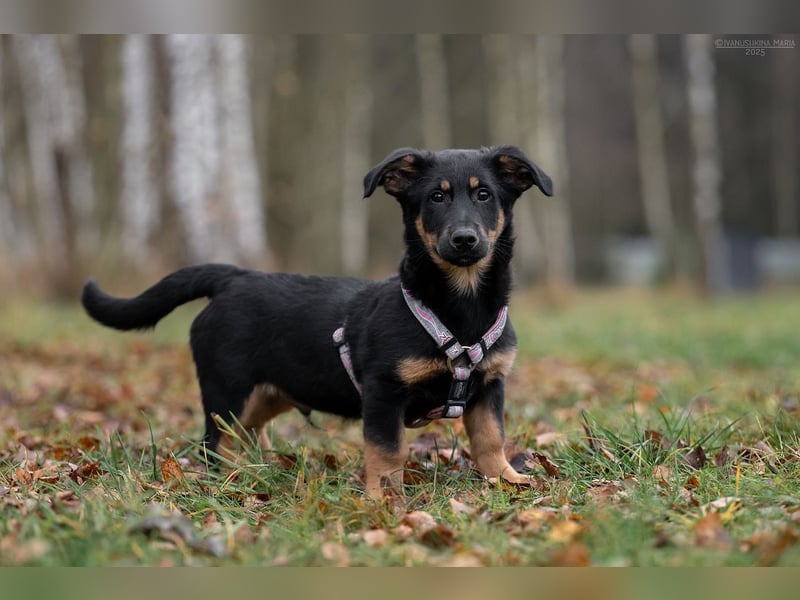 Schlauer SCHON möchte eigene Familie finden