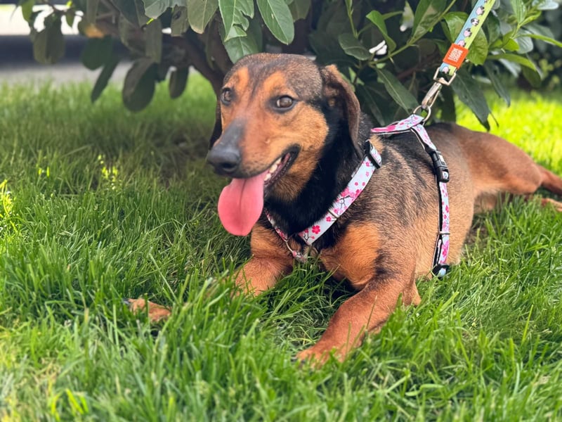 Lea- klein mit großem Herz