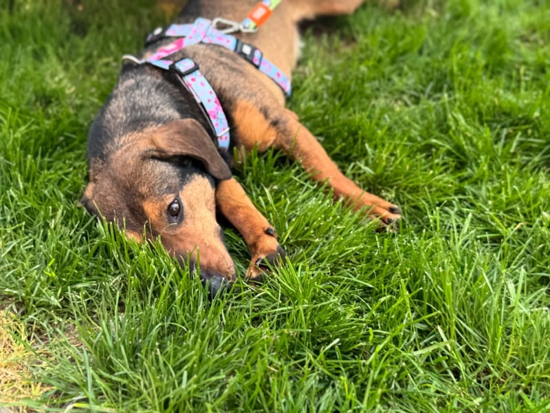 Lea- klein mit großem Herz