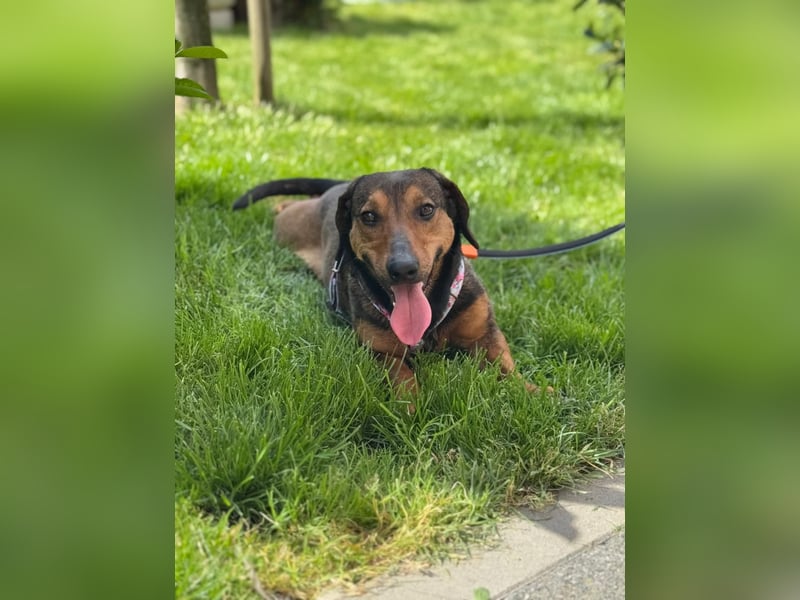 Lea- klein mit großem Herz