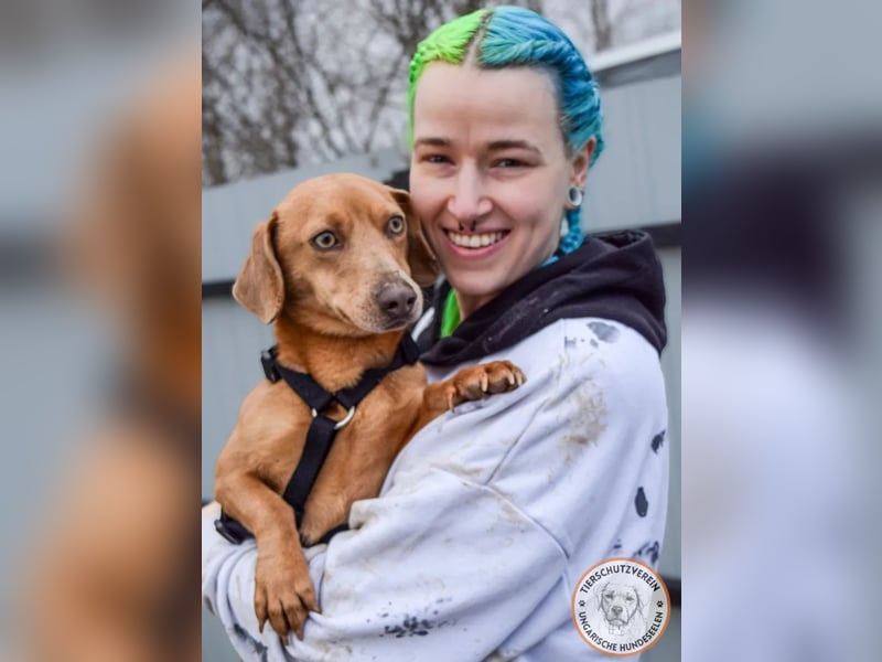 Rudi – der Kuschelkandidat mit den leuchtenden Augen