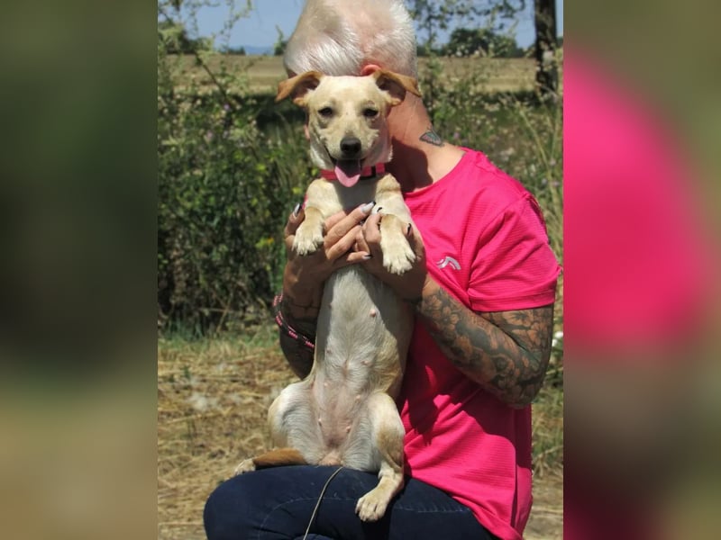 Attina – Kleine Pfoten, große Abenteuerlust
