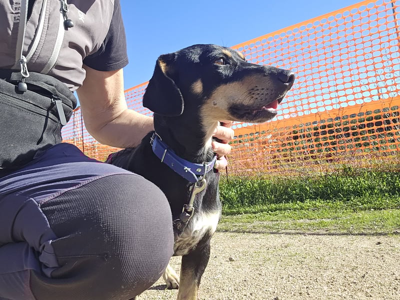 Otto: Spaß und gute Laune garantiert