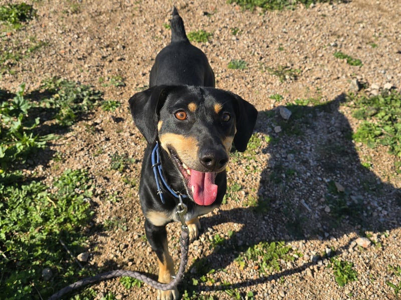 Otto: ein Schatz für überall mit Dabei