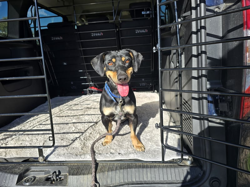 Otto: Spaß und gute Laune garantiert