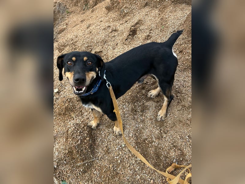 Otto: Spaß und gute Laune garantiert