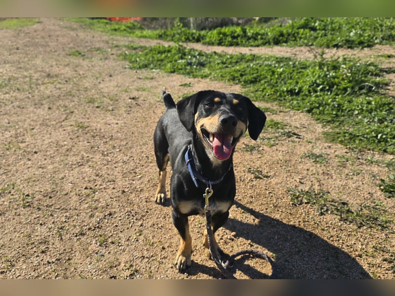 Otto: Spaß und gute Laune garantiert