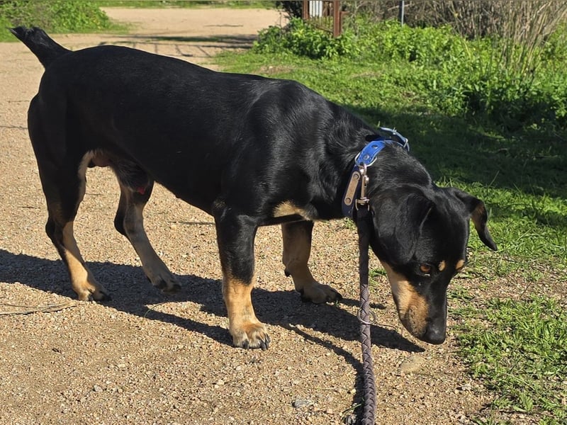 Otto: ein Schatz für überall mit Dabei