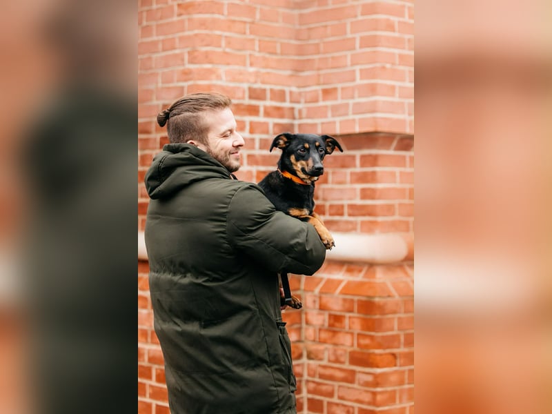 Verschmuster Rudi sucht seine Menschen