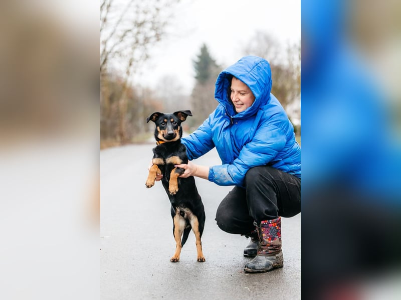 Verschmuster Rudi sucht seine Familie