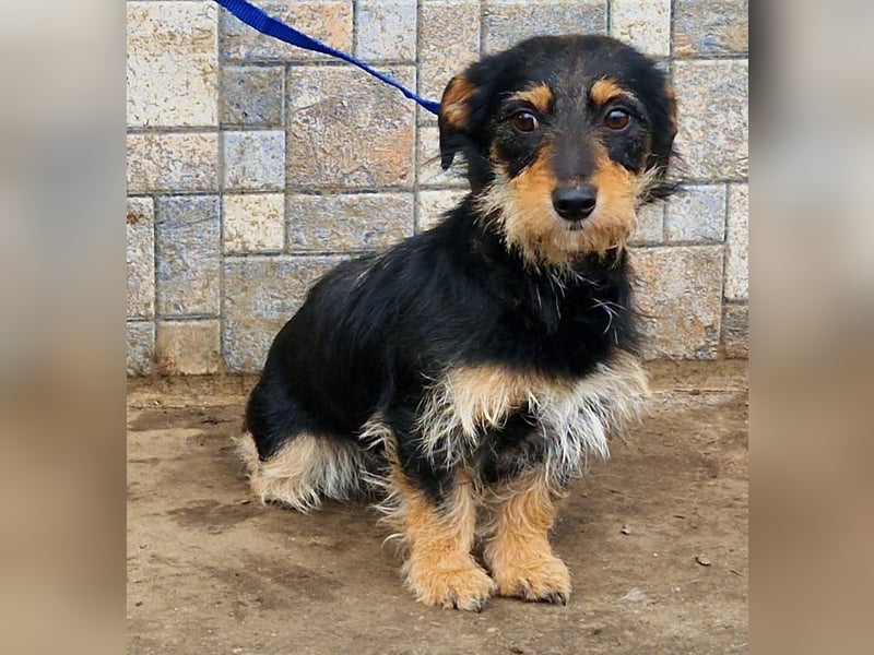 Jette ein Engel zum Verlieben