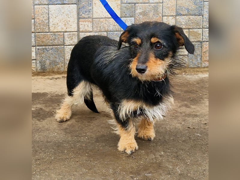 Jette ein Engel zum Verlieben