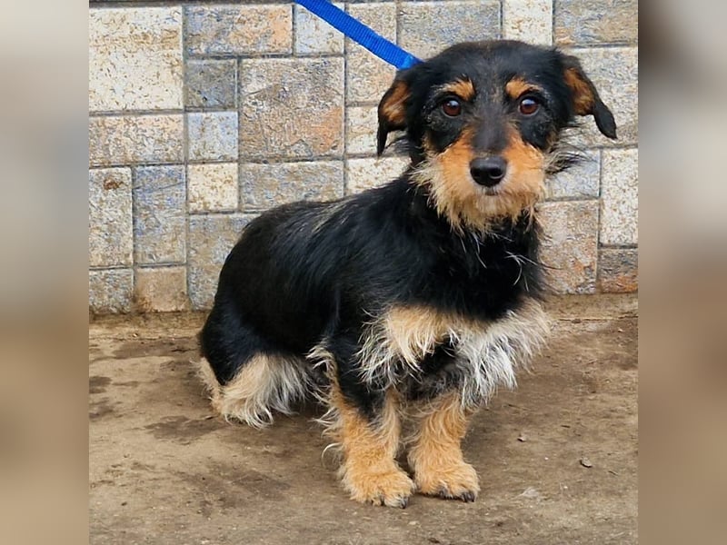 Jette ein Engel zum Verlieben