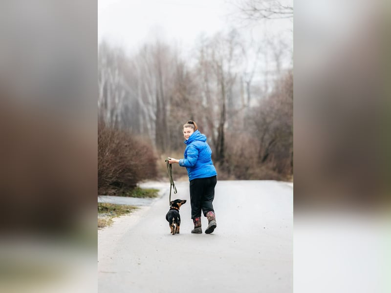 Verschmuster Rudi sucht seine Familie