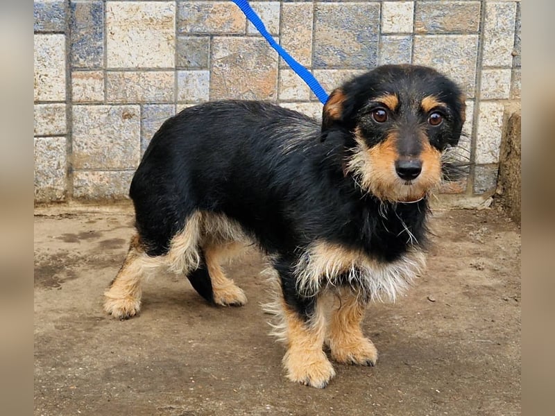 Jette ein Engel zum Verlieben