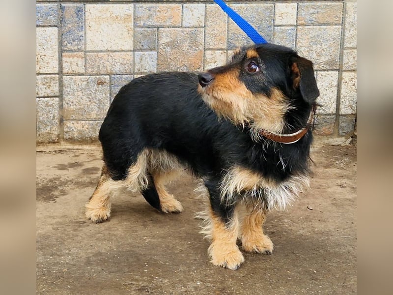 Jette ein Engel zum Verlieben