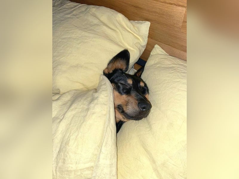 Jasia: Eine kleine Prinzessin wünscht sich ein Zuhause