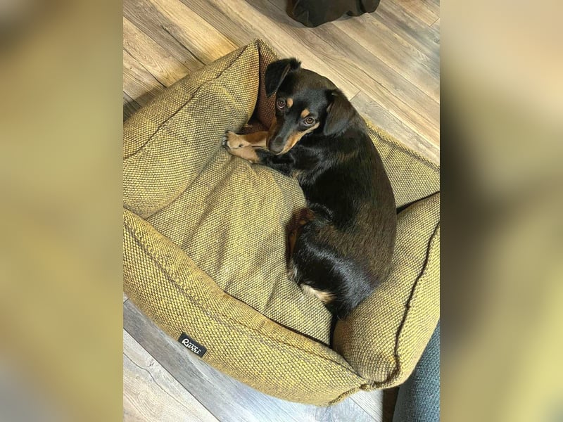 Jasia: Eine kleine Prinzessin wünscht sich ein Zuhause