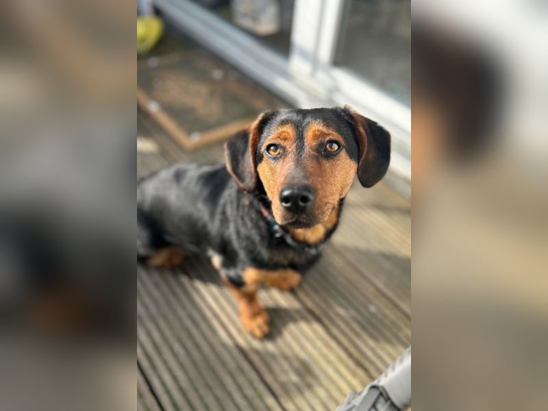 Tilly ❤️ wartet in 48153 Münster auf deinen Besuch