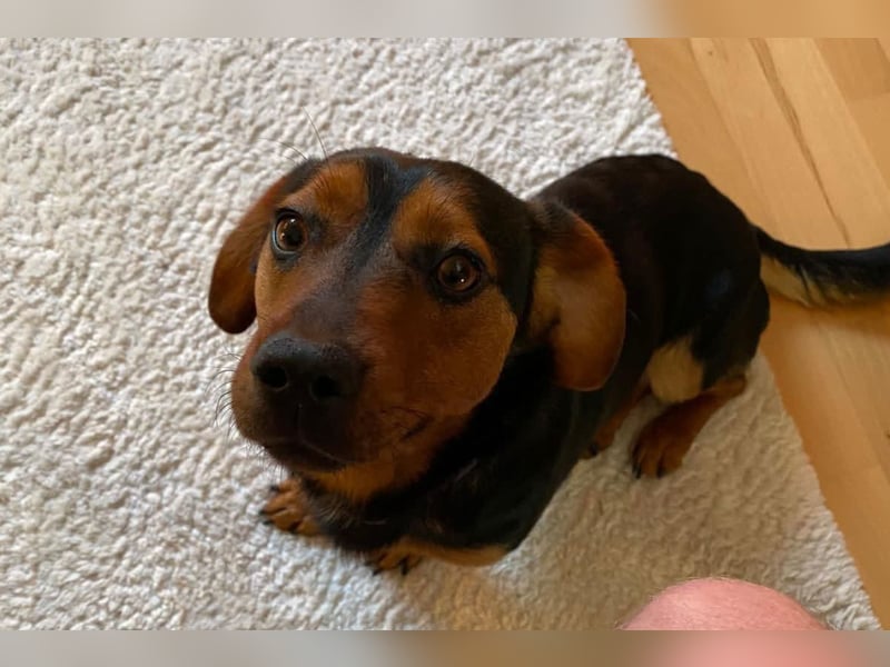 Tilly ❤️ wartet in 48153 Münster auf deinen Besuch