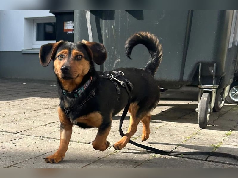 Tilly ❤️ wartet in 48153 Münster auf deinen Besuch