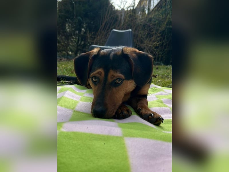 Tilly ❤️ wartet in 48153 Münster auf deinen Besuch