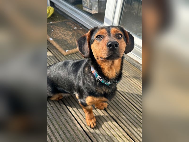 Tilly ❤️ wartet in 48153 Münster auf deinen Besuch