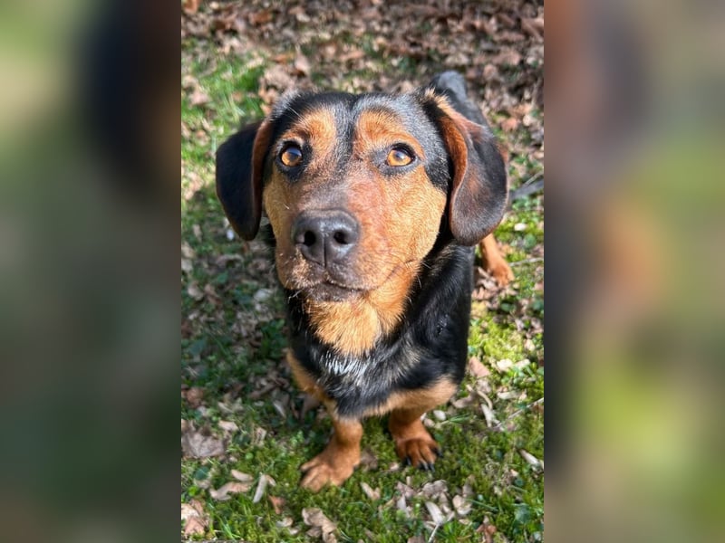Tilly ❤️ wartet in 48153 Münster auf deinen Besuch