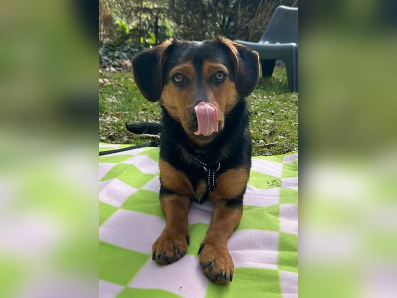 Tilly ❤️ wartet in 48153 Münster auf deinen Besuch