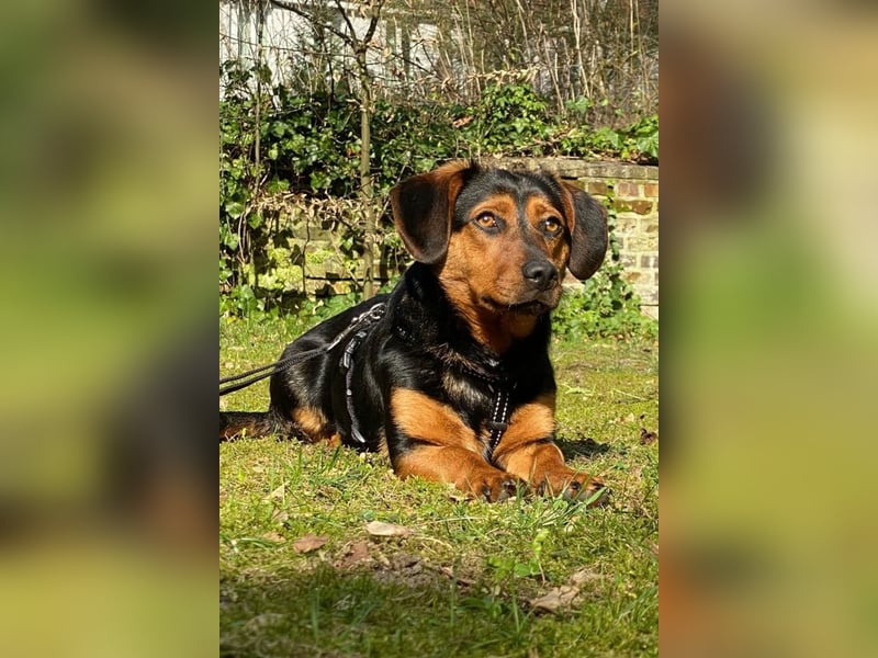Tilly ❤️ wartet in 48153 Münster auf deinen Besuch