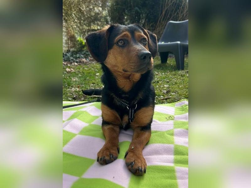 Tilly ❤️ wartet in 48153 Münster auf deinen Besuch