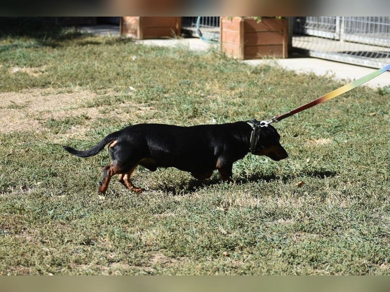 Archer