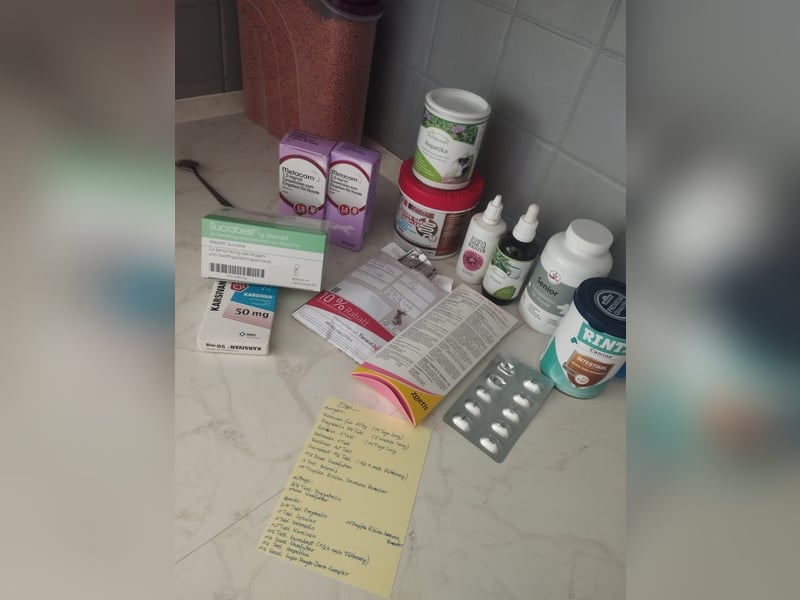 Flapi – Ein kleiner Kämpfer braucht unsere Hilfe  PATENGESUCH!