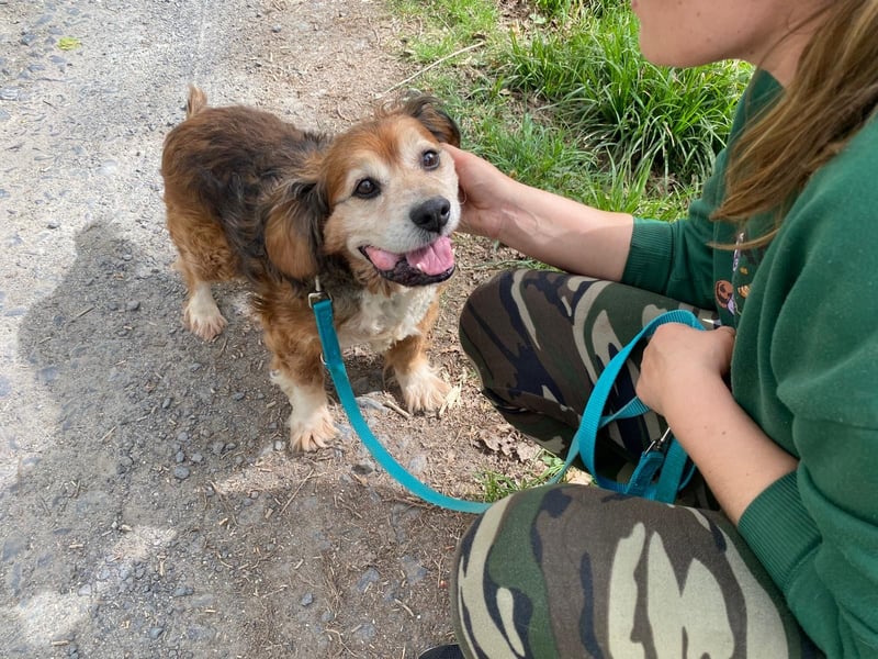 Flapi – Ein kleiner Kämpfer braucht unsere Hilfe  PATENGESUCH!