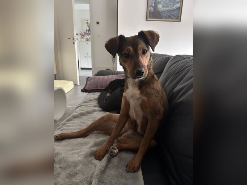 Rizza ein Gute-Laune-Bringer