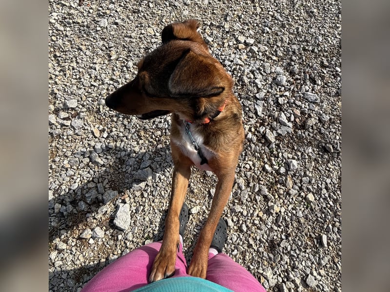 Rizza ein Gute-Laune-Bringer