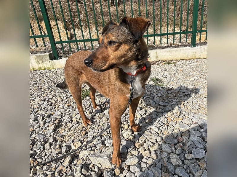 Rizza ein Gute-Laune-Bringer