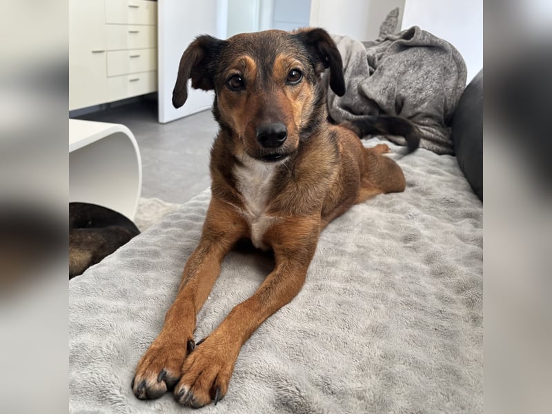 Rizza ein Gute-Laune-Bringer