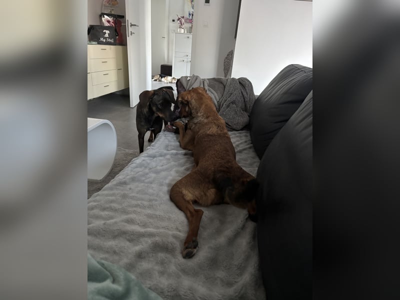 Rizza ein Gute-Laune-Bringer