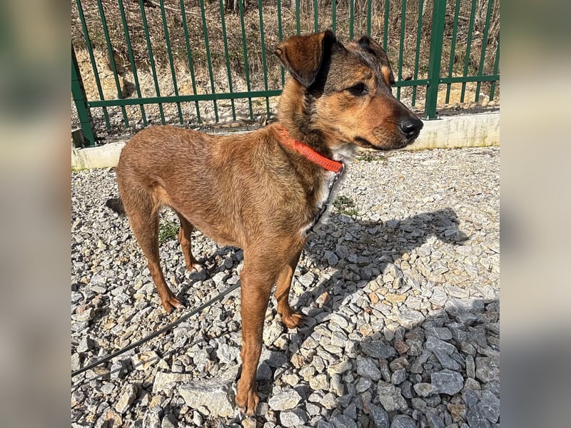 Rizza ein Gute-Laune-Bringer