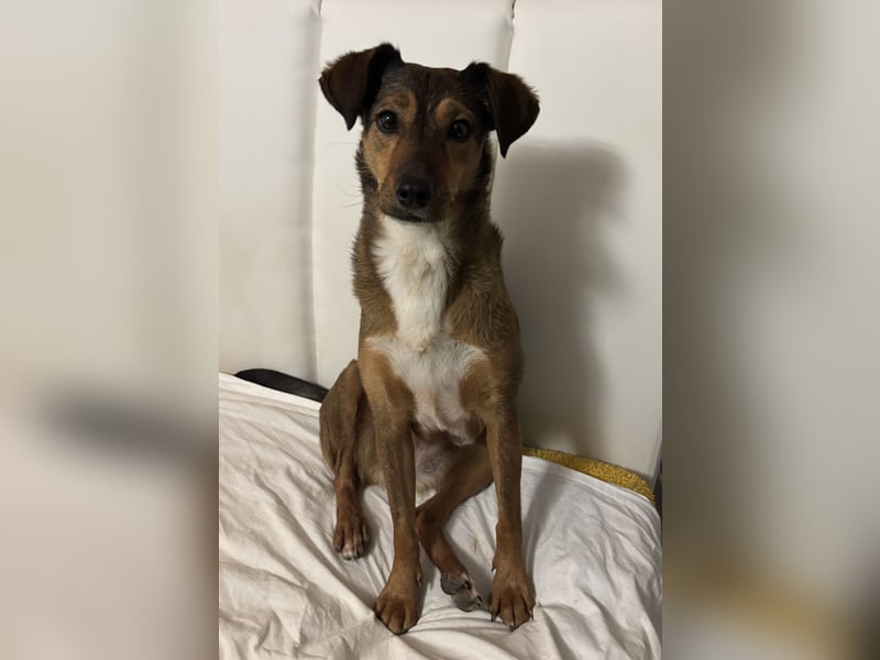 Rizza ein Gute-Laune-Bringer