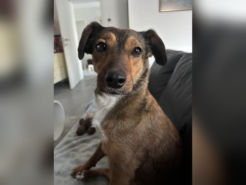 Rizza ein Gute-Laune-Bringer