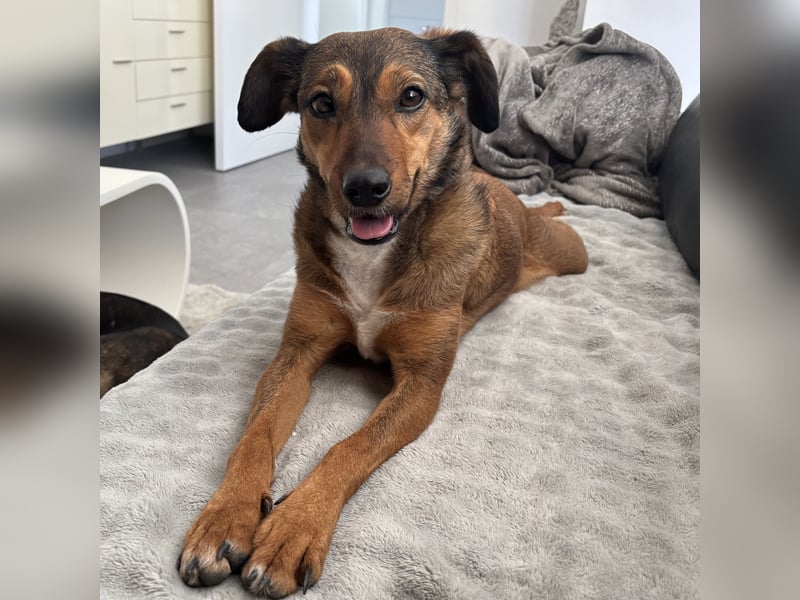 Rizza ein Gute-Laune-Bringer