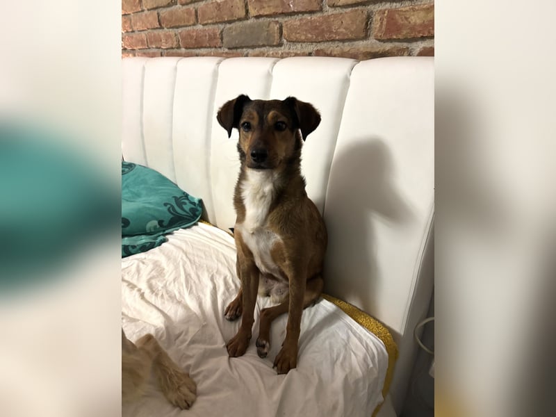 Rizza ein Gute-Laune-Bringer