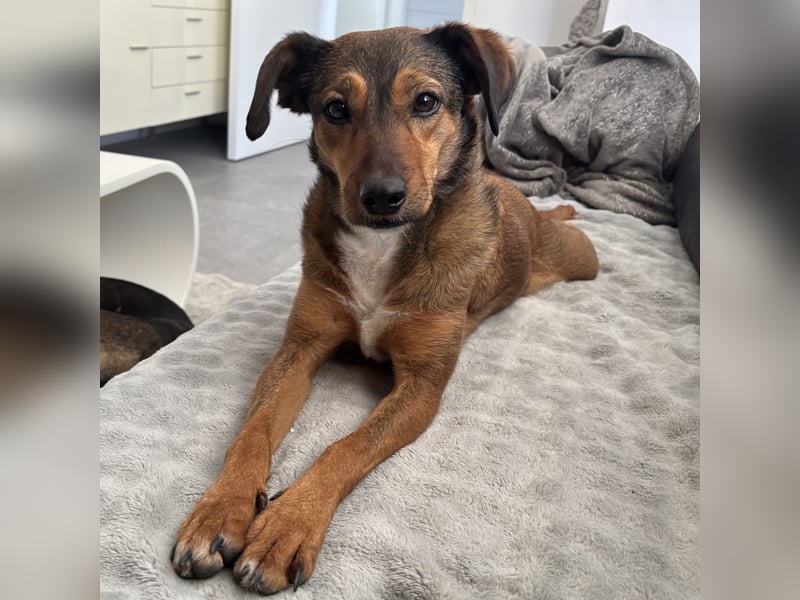 Rizza ein Gute-Laune-Bringer