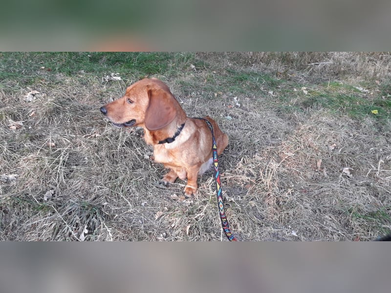 Aurelia - Aus ihrer Liebe wurden sieben Wunder - jetzt braucht Aurelia ein Wunder für sich!